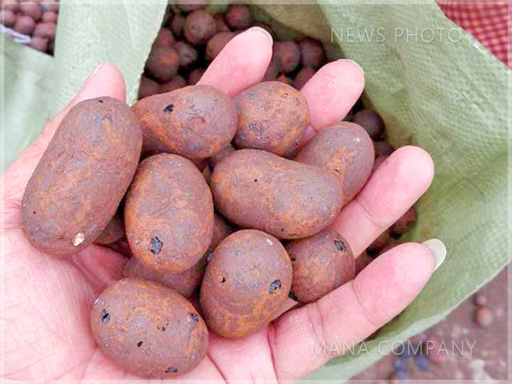 1632302889309489.jpg 陶粒.jpg